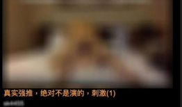 黄色视频激情,揭秘黄色视频背后的故事