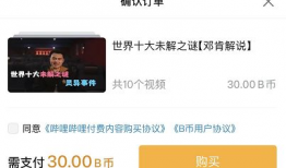 付费视频,内容深度解析与价值洞察